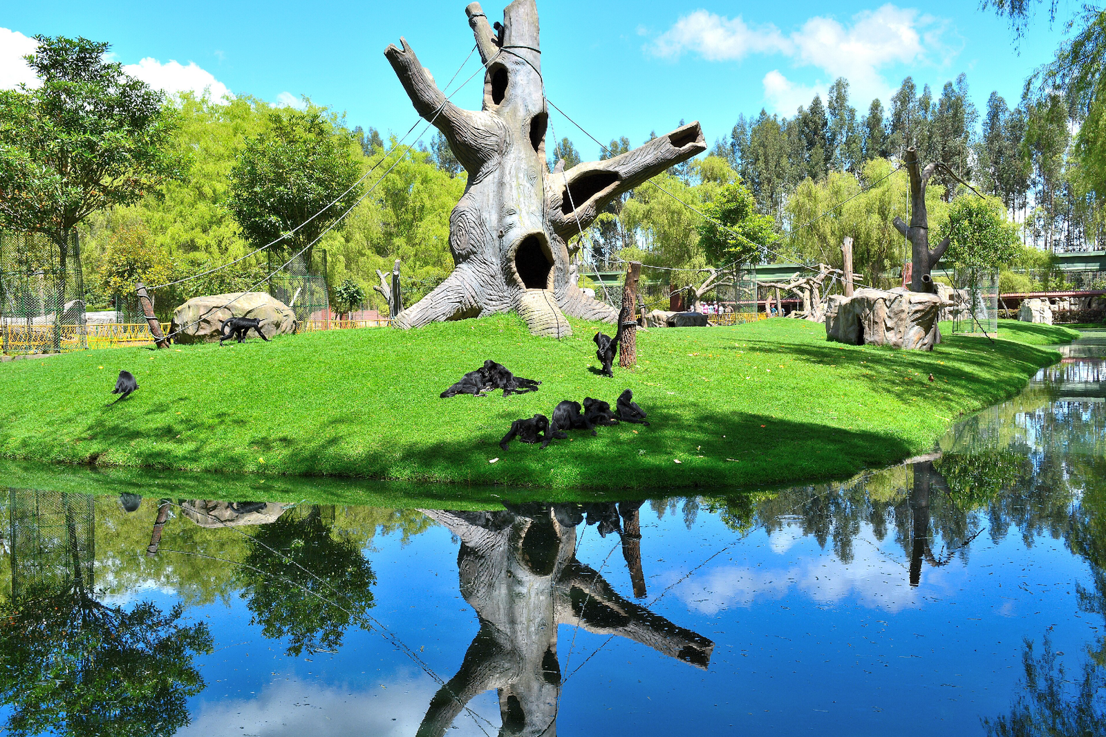 parque jaime duque tour colombia