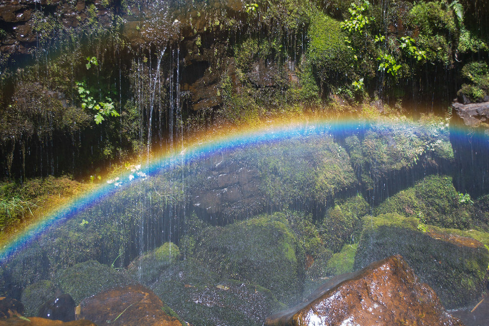 tour privado cascada la chorrera choachi